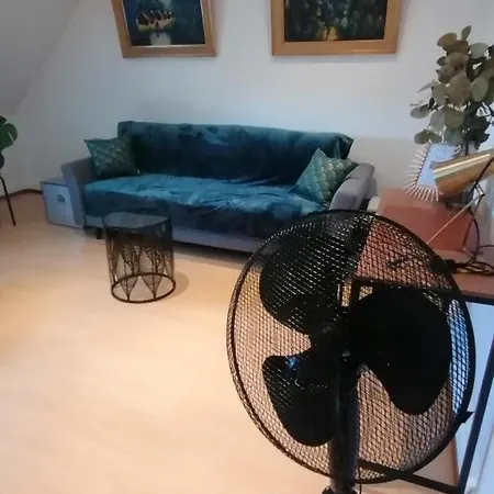 Apartment Chez Carine Schiltigheim